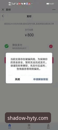 幻影体育官网下载安全吗？从技术角度全面解析风险与保障